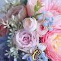 @ledibeqqelz27colnce