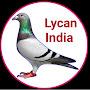 @LycanIndia