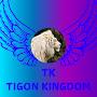 @TK_Tigon_Kingdom730_Multiplaye