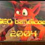 @GEObandicoot