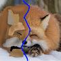 fox-Diner