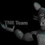 TNR Team