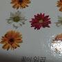 @황은혜-q3e