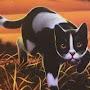 @TheConfidentCat