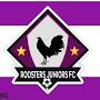Roosters juniors fútbol club