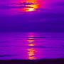 @user-mf8gc2wb6n