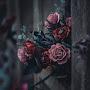 @AdityaRAJ-by8nm