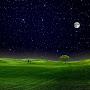 @Night-fall99