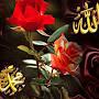 @erdalmelihguler5010