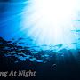 @Diving.At.Night.