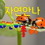 @안나클로이
