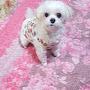 @보석이채널보석이방송
