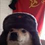 @DemocracyDoge