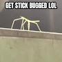 @getstickbuglol