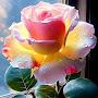 @VESNA9112
