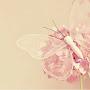 @rasha77-t3t