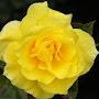 @strengthnhope7