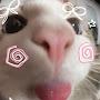 @TiredAnimatir
