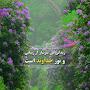 @asalnasiri-mh5qi