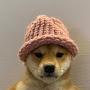 @Dogegamer0124