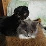@Lunniksfy1bo1hx9n