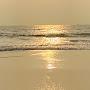 @niha3764