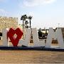 @walkingisrael1730