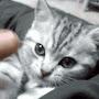 @0306babylove