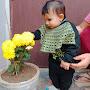 @Avni.Chahal