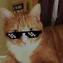 @user-um3si3do6q