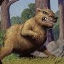 @Crazedcapybara