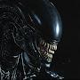 @alien-nn