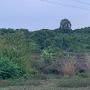 @binhledothanh1955