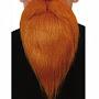 Redbeard