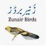 @zunairbirds3984