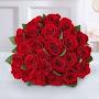 @عمر-ل2ت5ص