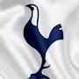 @FAN_TOTTENHAM