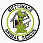 @MuttshackAdoptions