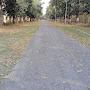 @MohitPratapSingh-e9n