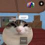 @Cat000m-d9r