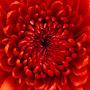 @dmitriyb5641