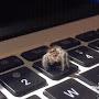 @spidersinmykeyboard6367