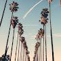 @PeacefulPlaylists-j2x