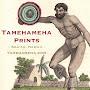 @tamehamehaprints3604