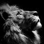 @MReid-hl9wy