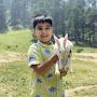 @learnharmoniumwithvishwas6428