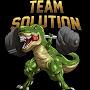 @TeamSolution