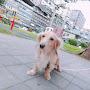 @Rui-ku4lf