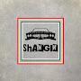 @shangin3726