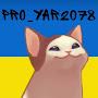 Pro_Yar2078